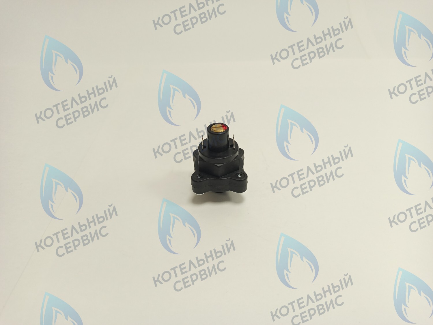 PS015-02 Датчик (замкнут/разомкнут) минимал. давления теплоносителя GAZLUX после 09.2007, GAZECO 18/24  (09-2076, 09-4076) в Екатеринбурге	