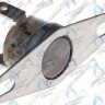 0020049261 Термостат продуктов сгор.65+3°C PROTHERM в Екатеринбурге	