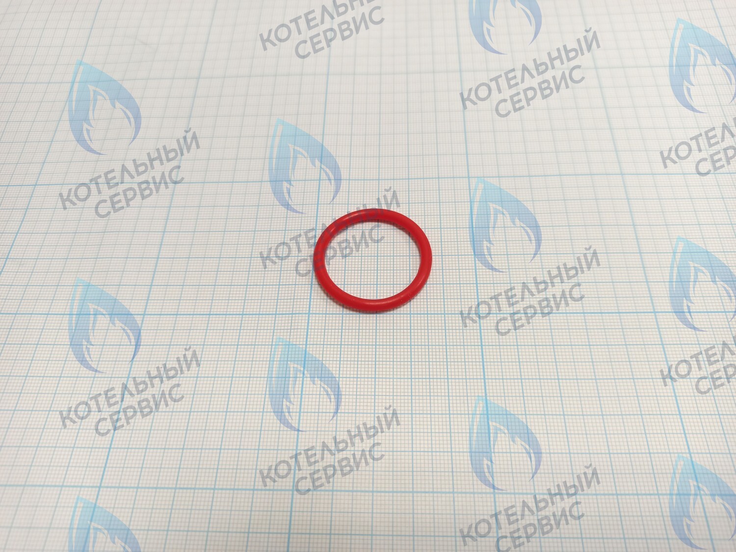 20007016A Кольцо уплотнительное O-ring Navien для фильтра (BH2423087A) в Екатеринбурге	