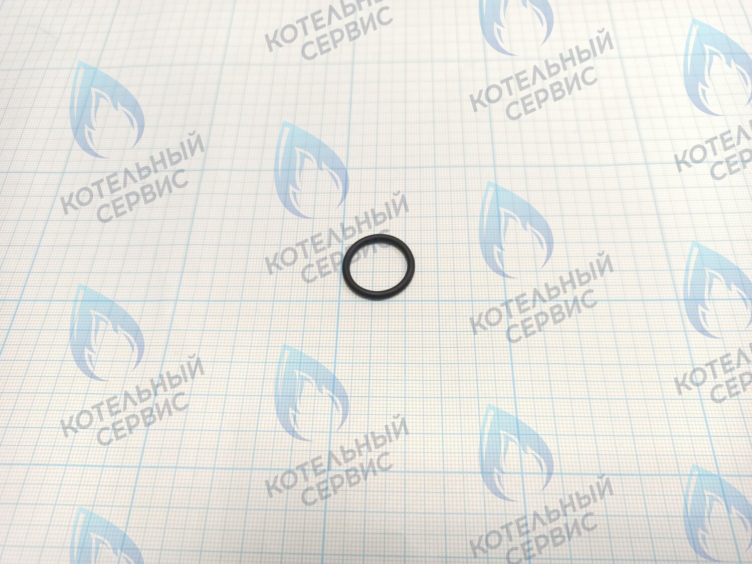 20006954A Кольцо уплотнительное O-ring  (EPDM,P18,Ø17.8×Ø2.4) Deluxe S (BH2422031A) NAVIEN в Екатеринбурге	
