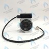 PH-G30CCW50-DG85-5PIN Двигатель насоса DUCA VPG-5/2A 15-50 для VPAL-5/2A Vaillant TEC Plus 3-5 (178983) в Екатеринбурге	