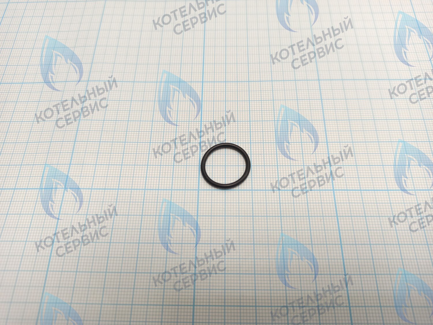 BI1001 131 Прокладка O-Ring 1,78 X 15,6 (BI1001 131) в Екатеринбурге	