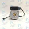PH-N28CW60-DN95 Двигатель насоса DUCA NP 15-60 Navien (30000469A, 30000469B, NAPU9GLPCT36, 30022723B, 30022723A) в Екатеринбурге	