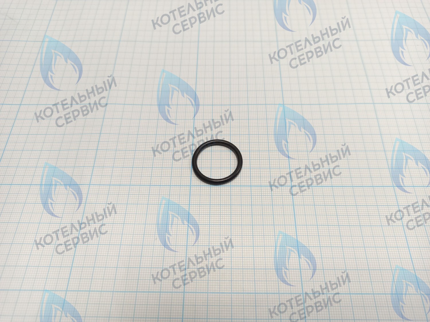 BI1001 130 Прокладка O-Ring 2,6 X 20,6 (BI1001 130) в Екатеринбурге	