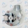 AF013-35W-S Вентилятор дымоудаления SOHON аналог BAXI Eco Life, Eco Star (7731816) в Екатеринбурге	