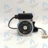 PMV01AG50-DG85-5PIN-Комп Насос циркуляционный PROTHERM (0020094635, 0020078492) / VAILLANT (0020107584) в Екатеринбурге	