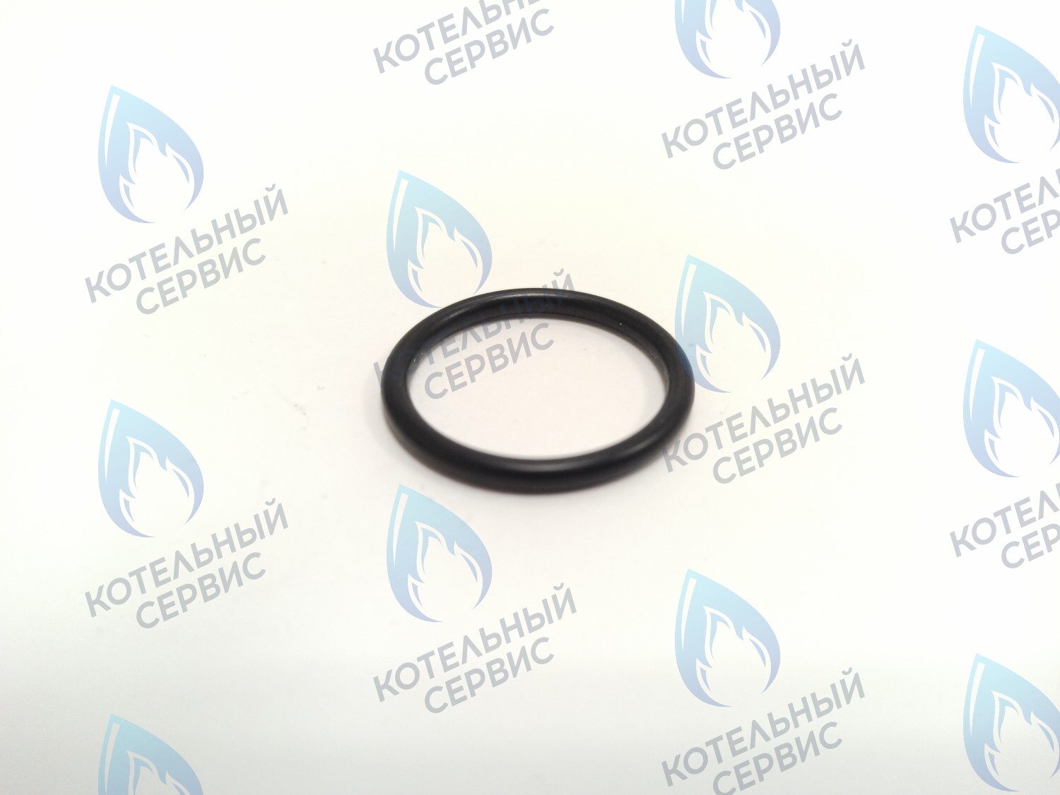 0020118729 Прокладка 23.81 x 2.62 Protherm Lynx (H-RU), Ягуар JTV, Гепард (H-RU) в Екатеринбурге	