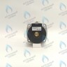PH-W21CW50-WA82-RS2-Комп Двигатель насоса (черный пластик) (без улитки, без терминала, 2 скорости) аналог WILO 82w INTMSL15/5 HE-2 (21мм по часовой) в Екатеринбурге	