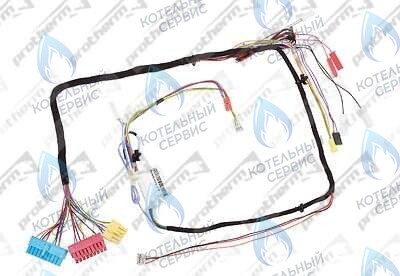 0020098000 Жгут проводов PROTHERM в Екатеринбурге	