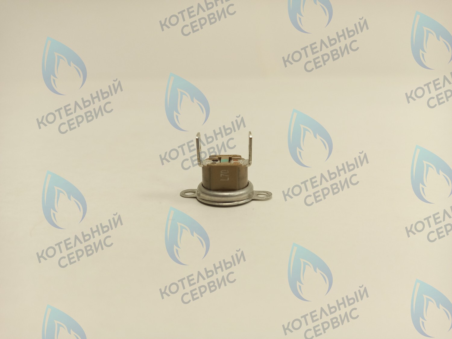 39820770 Термостат дымовых газов аварийный 70С Ferroli в Екатеринбурге	