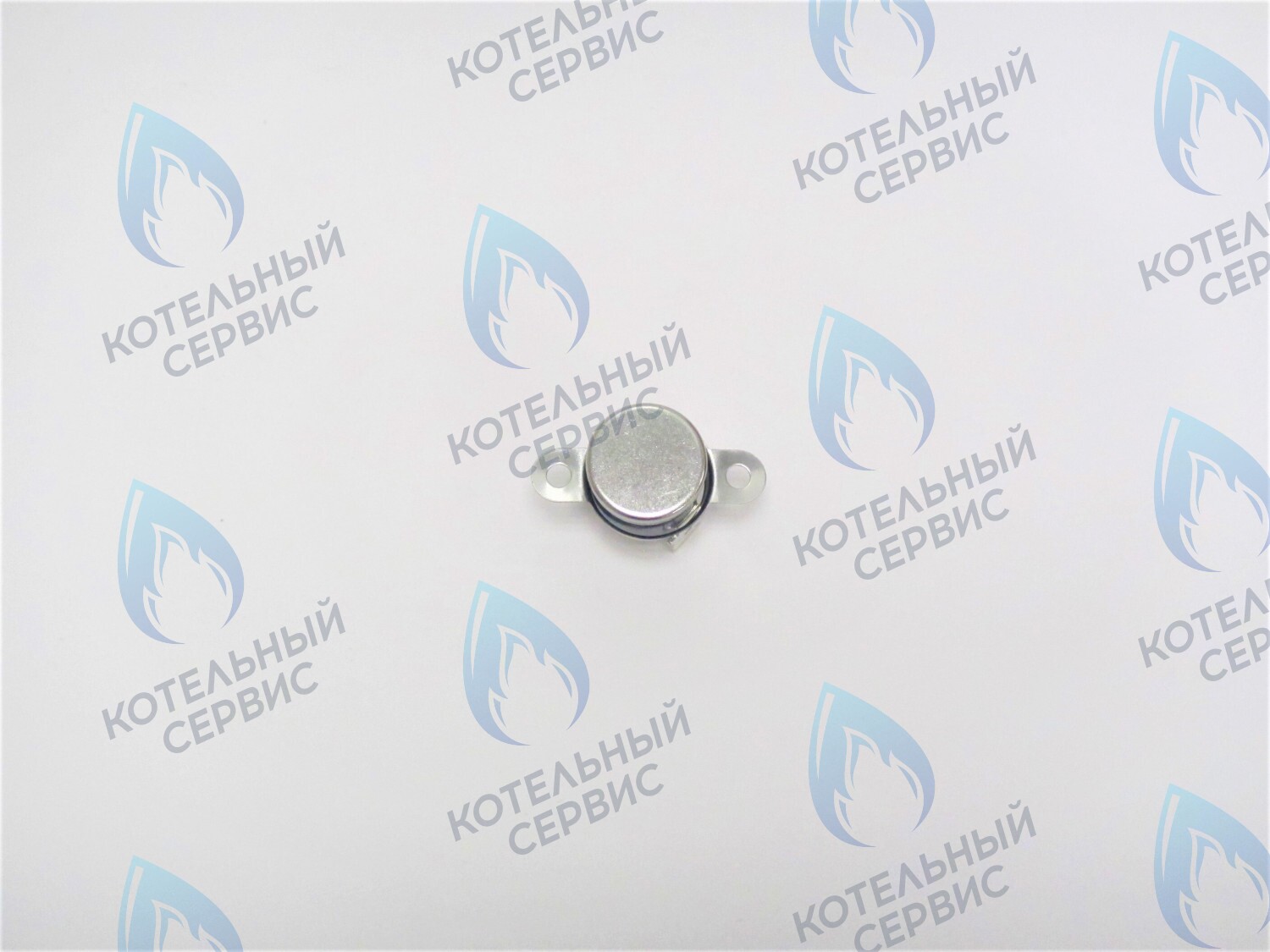 05-5007 Термостат отходящих газов Alpine Light POLYKRAFT в Екатеринбурге	