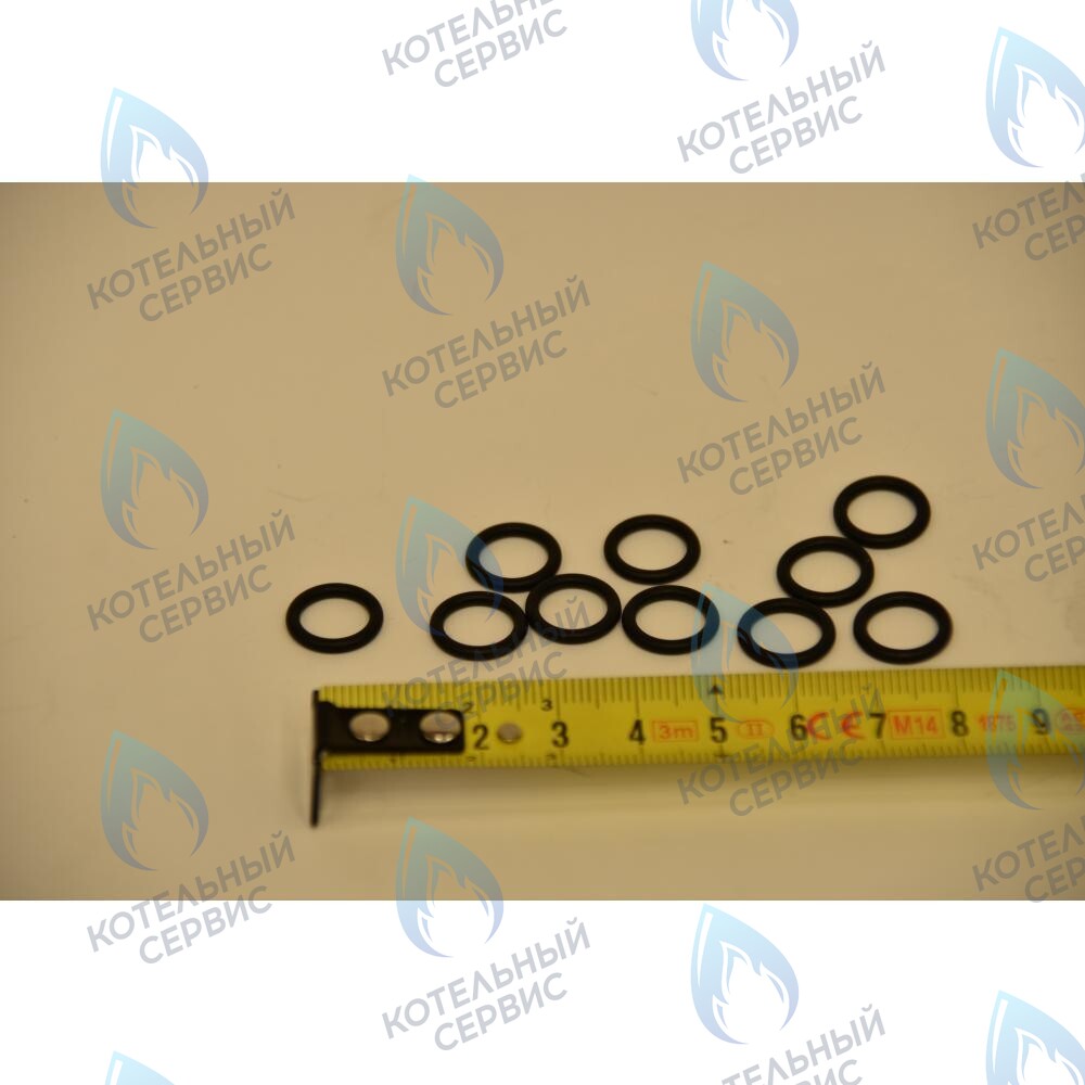 710048800 Уплотнение кольцевое 8,9X1,9 BAXI в Екатеринбурге	