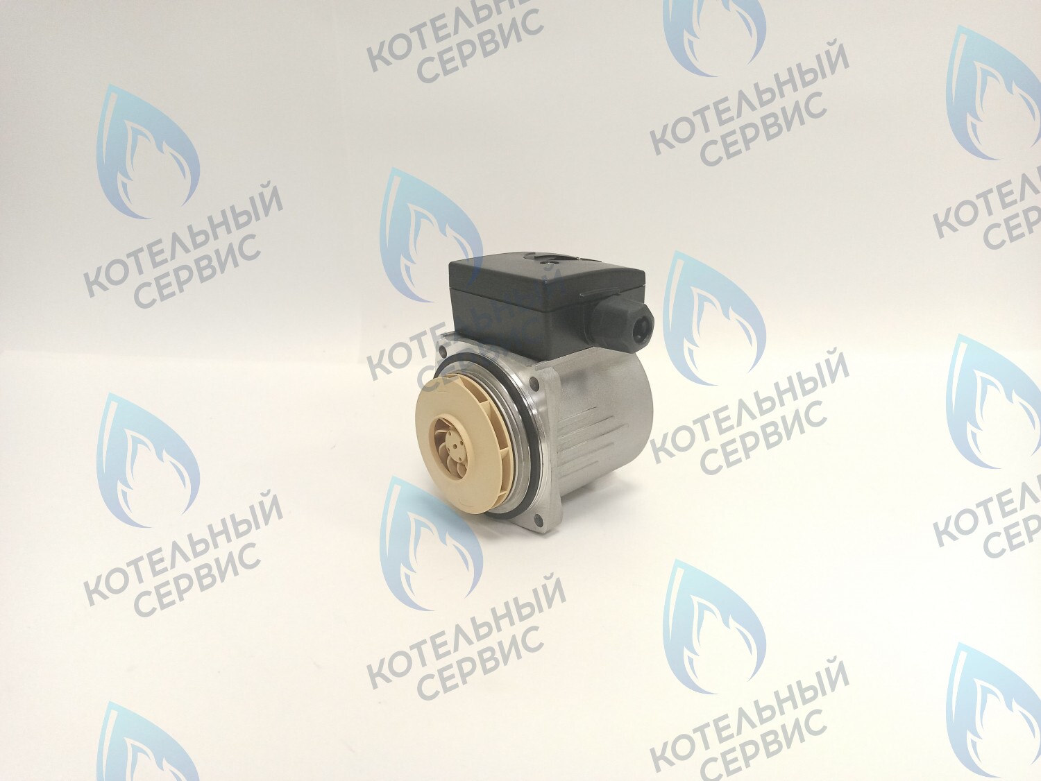 PH-P30CCW50-PR75 Двигатель насоса (против часовой) Protherm 15-50S (0020207146, 0020119604) в Екатеринбурге	