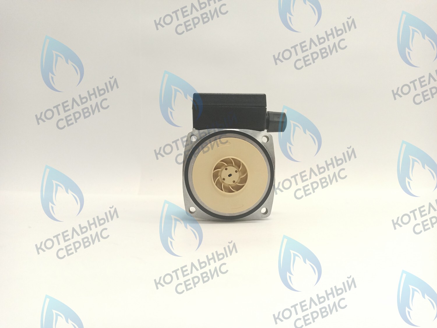 PH-P30CCW50-PR75 Двигатель насоса (против часовой) Protherm 15-50S (0020207146, 0020119604) в Екатеринбурге	