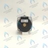 PH-W30CW50-WA82BX-RS1-Комп Двигатель насоса (без улитки, без терминала, 1 скорость) (12/5, 15/5) аналог WILO 82w INTBXL15/5-1 (30мм по часовой) BAXI MAIN-5 (710648600, 710820200) в Екатеринбурге	