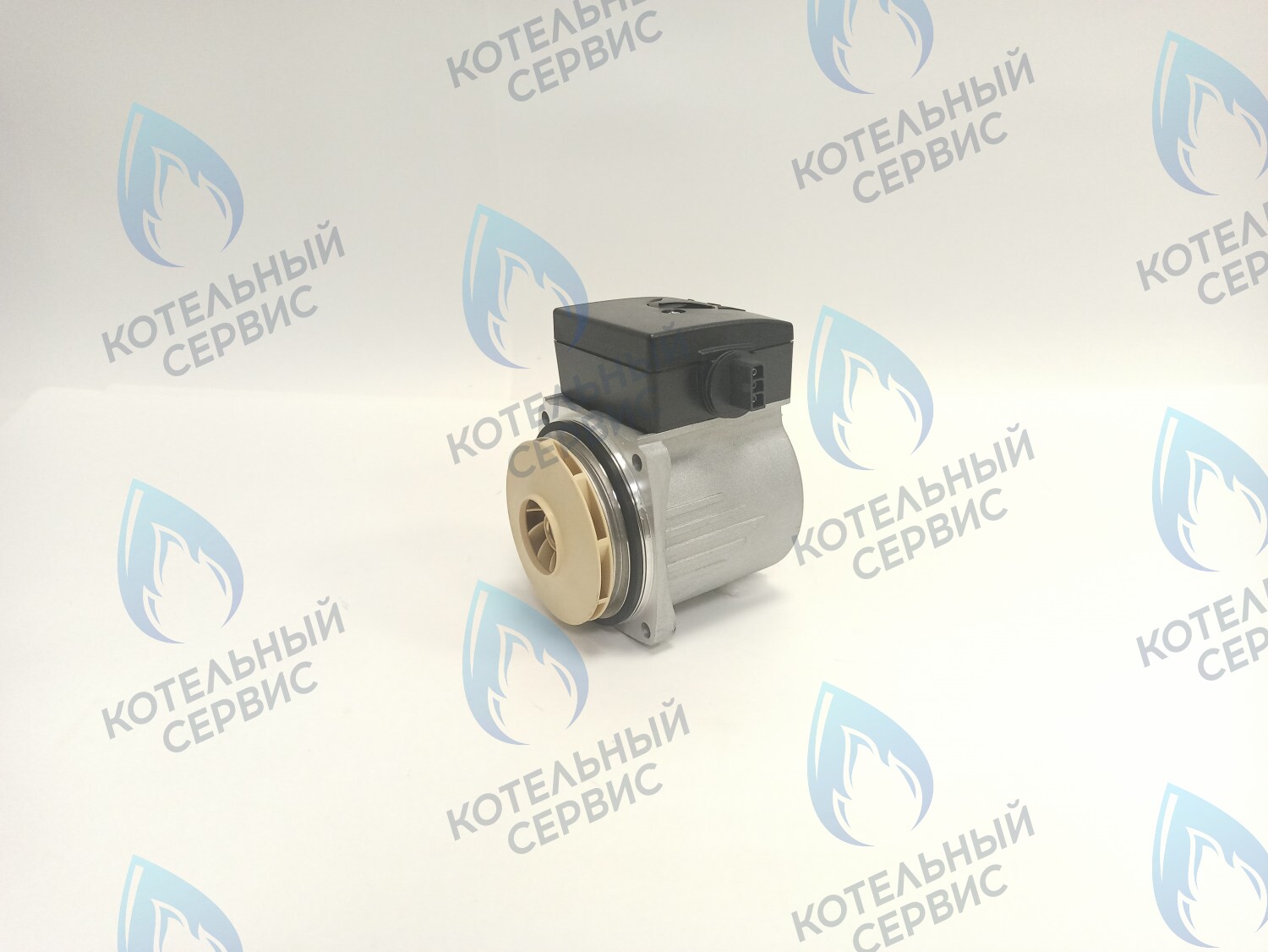 PH-P30CCW60-PR120 Двигатель насоса (против часовой) Protherm 15-60S (0020119604, 0020207146) в Екатеринбурге	