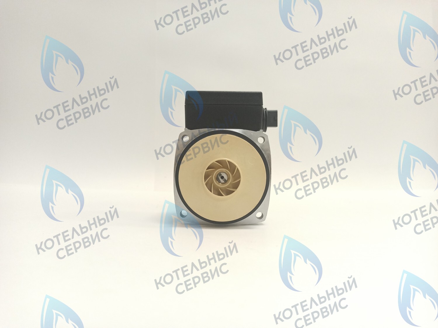 PH-P30CCW60-PR120 Двигатель насоса (против часовой) Protherm 15-60S (0020119604, 0020207146) в Екатеринбурге	