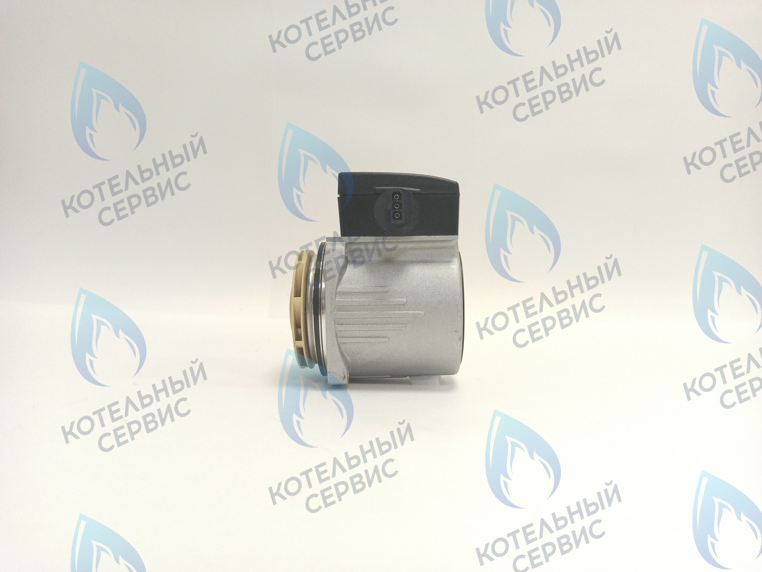 PH-P30CCW60-PR120 Двигатель насоса (против часовой) Protherm 15-60S (0020119604, 0020207146) в Екатеринбурге	