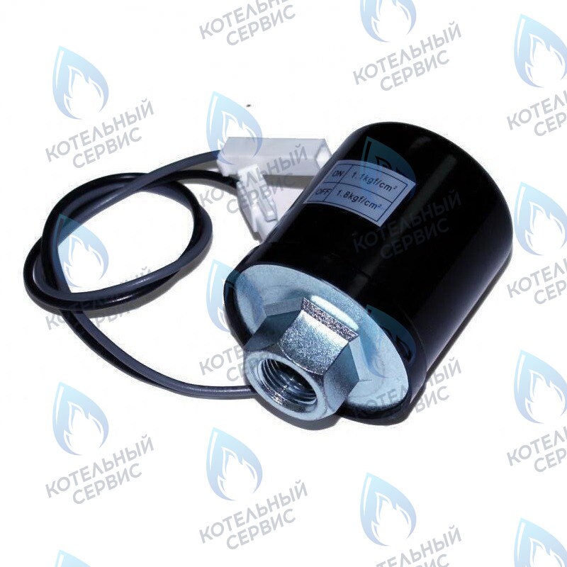 3091135 Реле давления  для насоса PW-175 EA ВР 3/8" 1,1-1,8 бар WILO (6600KP3002L) в Екатеринбурге	