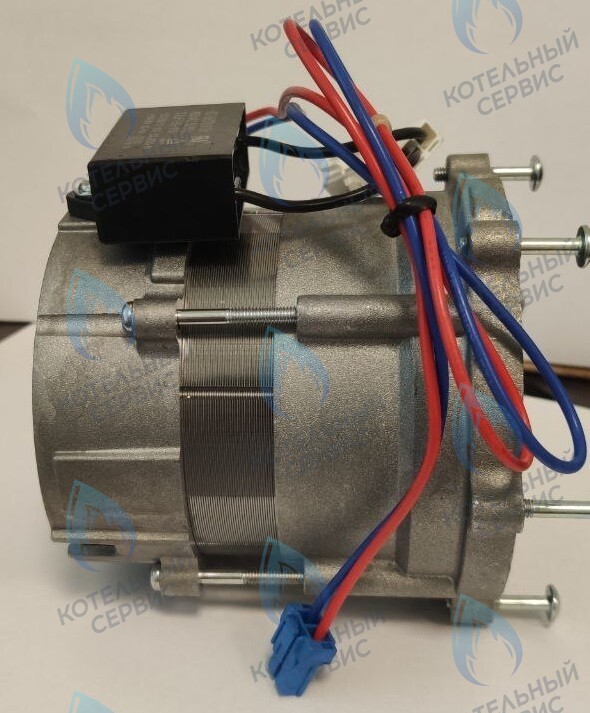 PH-S26CCW70-NK100-NI Двигатель циркуляционного насоса NANOKEM в Екатеринбурге	