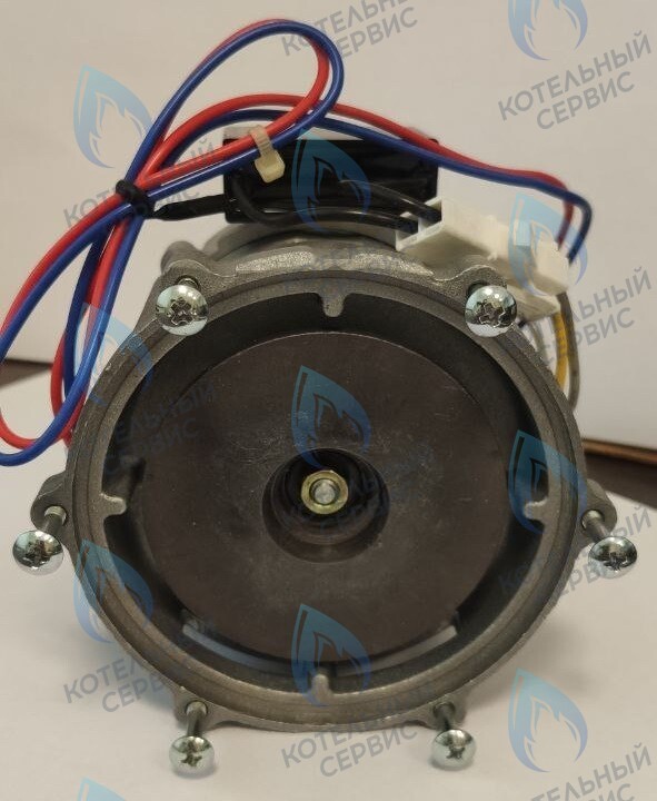 PH-S26CCW70-NK100-NI Двигатель циркуляционного насоса NANOKEM в Екатеринбурге	