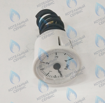 46360080 Манометр FERROLI в Екатеринбурге	