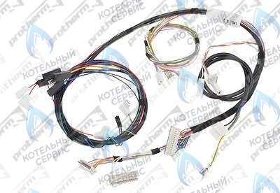 0020044908 Жгут проводов 24BTV17 PROTHERM в Екатеринбурге	