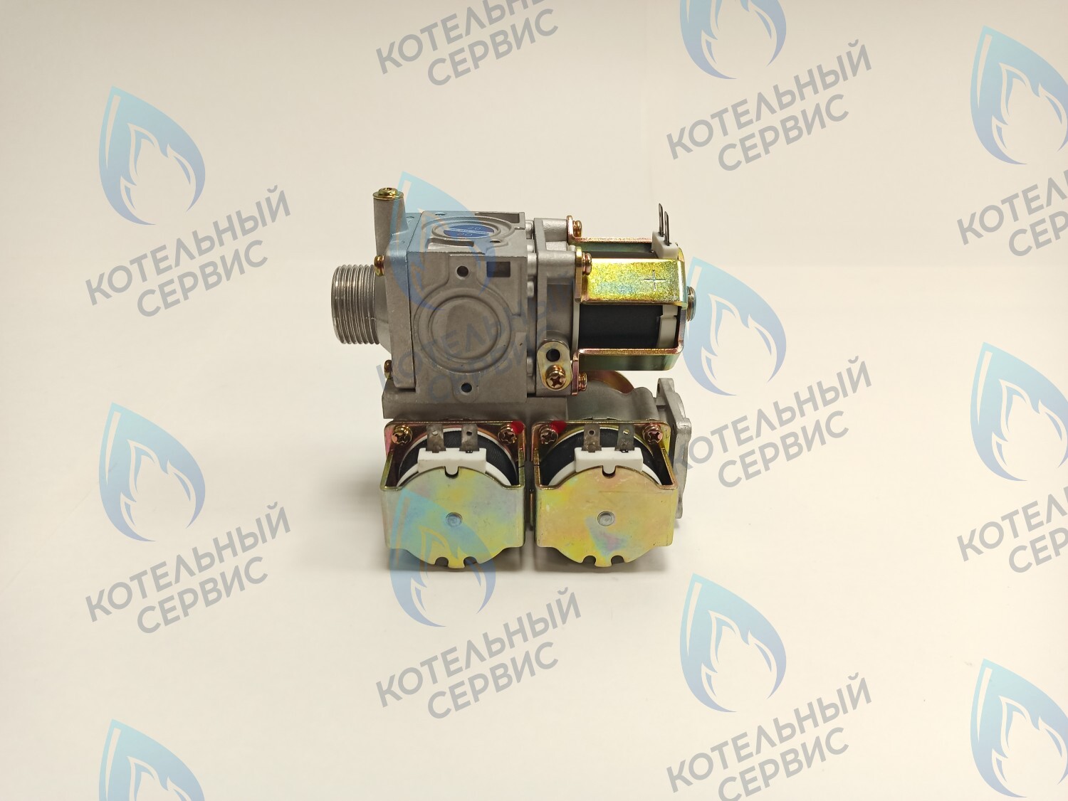 GV007-02 Газовый клапан (электронная регулировка) BL22-02DC-DC220V FERROLI (398000090,46560120), KoreaStar (KS90264100),Thermex в Екатеринбурге	