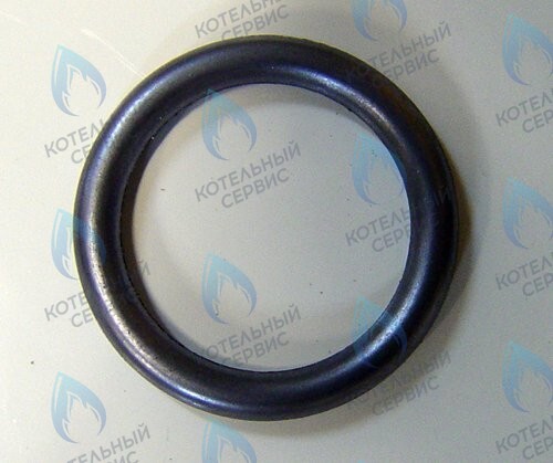 0020020741 Прокладка PROTHERM в Екатеринбурге	