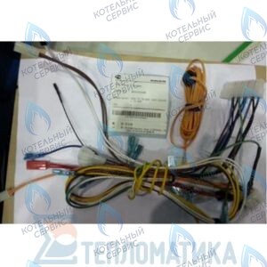 30003022A Жгут кабельный в сборе с коннекторами Atmo NAVIEN в Екатеринбурге	