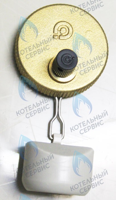 0020035044 Клапан воздухоотводчика PROTHERM в Екатеринбурге	