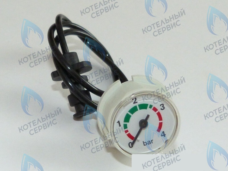 87186457920 Манометр с трубкой BUDERUS в Екатеринбурге	