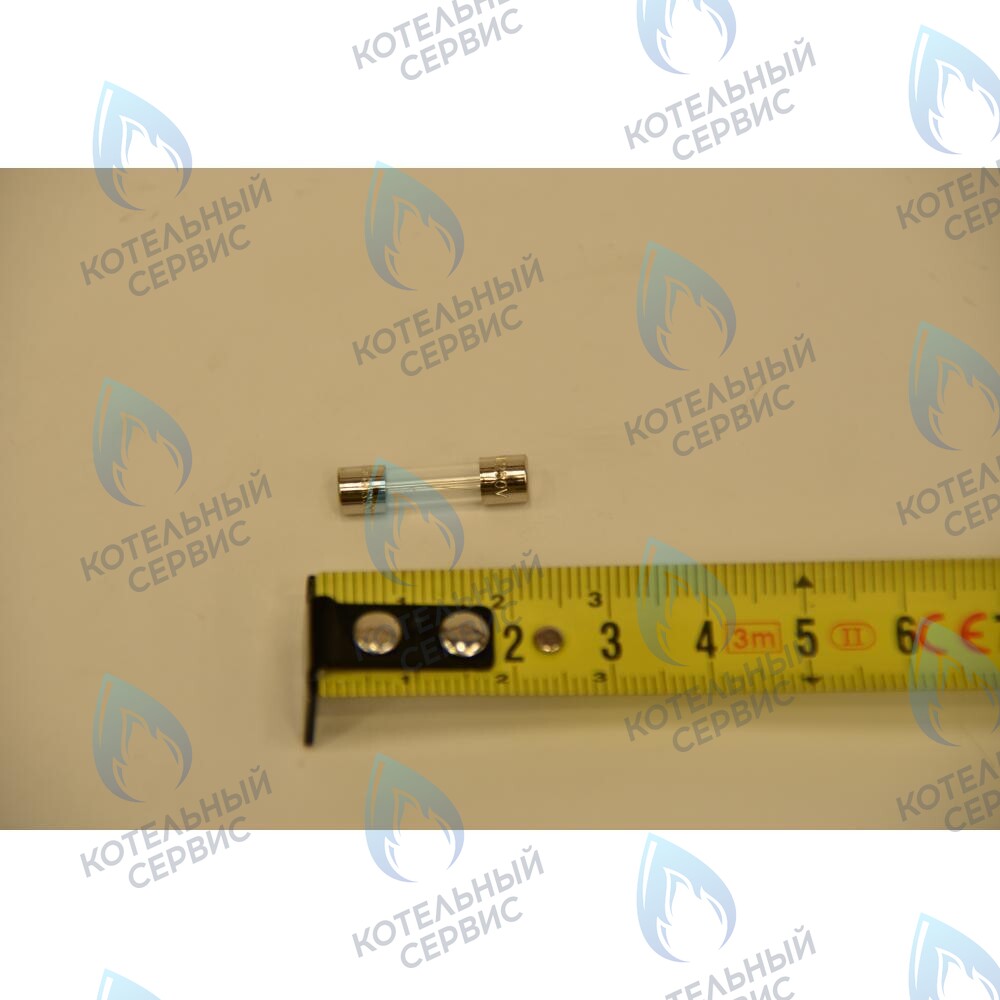 9950580 Плавкий предохранитель (2 А- 250 В) для котлов BAXI в Екатеринбурге	