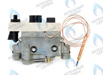 003382 Автоматика безопасности 710 ЛЕМАКС (Lemax) в Екатеринбурге	