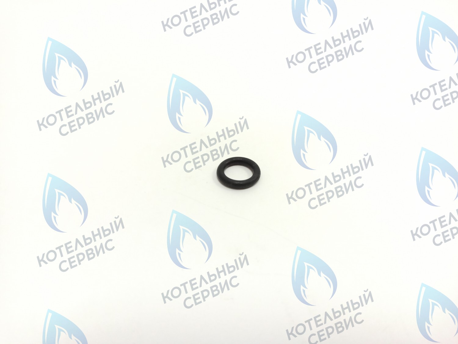 BI1262 113 Прокладка O-Ring 2,62 X 9,92 (BI1262 113) ELECTROLUX в Екатеринбурге	