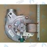 5682150 Вентилятор BAXI FOURTECH, ECO (Four, 4s), MAIN, MAIN (Four, Digit) 18-24 F в Екатеринбурге	
