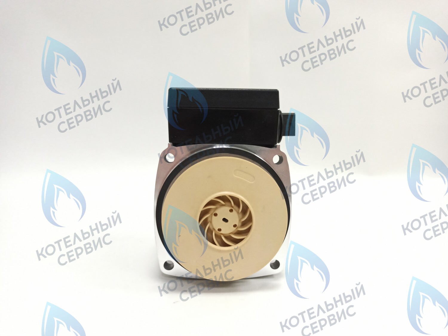 PH-P30CCW60-GB120 Двигатель насоса (против часовой) DD15-60 для Protherm (0020119604, 0020207146) в Екатеринбурге	