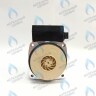 PH-P30CCW60-GB120 Двигатель насоса (против часовой) DD15-60 для Protherm (0020119604, 0020207146) в Екатеринбурге	