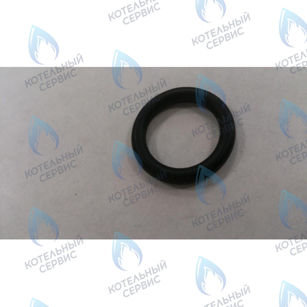 6399440050 Уплотнение кольцевое 3X14X20 BAXI в Екатеринбурге	