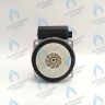 PH-W30CW50-GW95BX Двигатель насоса PUMP WA15/5 (без улитки) (по часовой стрелке) 15/5 (замена WILO 15/5 BAXI, NEVALUX, THERMONA, PROTHERM СКАТ K11) в Екатеринбурге	
