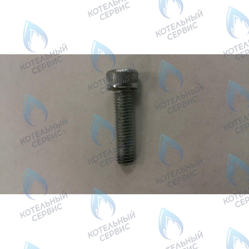 599130079 Винт M5X20 BAXI в Екатеринбурге	