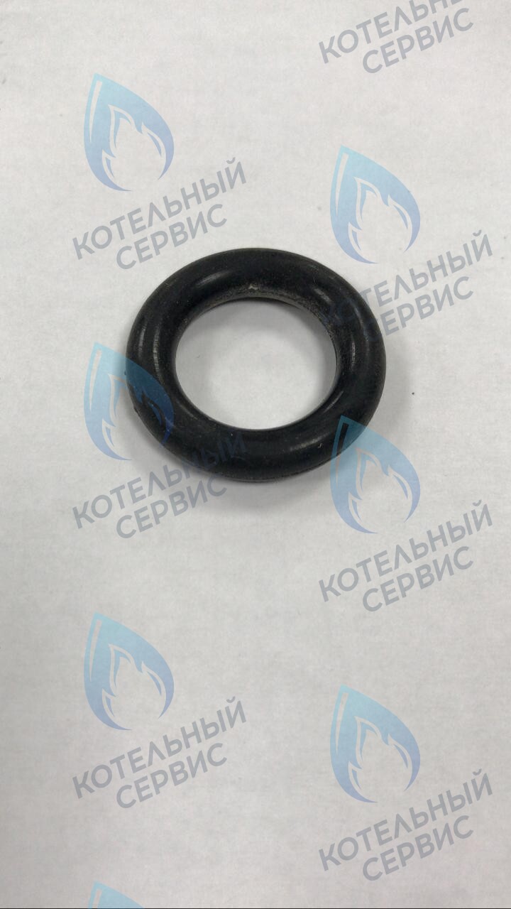 39864460 Прокладка O-ring циркуляционного насоса FERROLI (RU) в Екатеринбурге	
