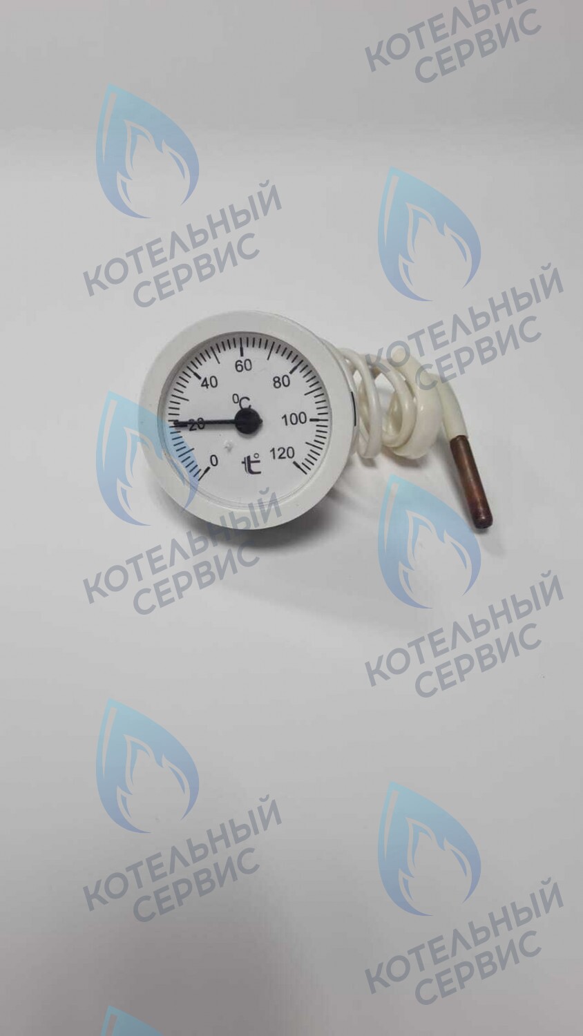 ST002-02 Термометр капиллярный круглый белое кольцо d 51,5 мм, длина капилляра 550 мм, 0-120С в Екатеринбурге	