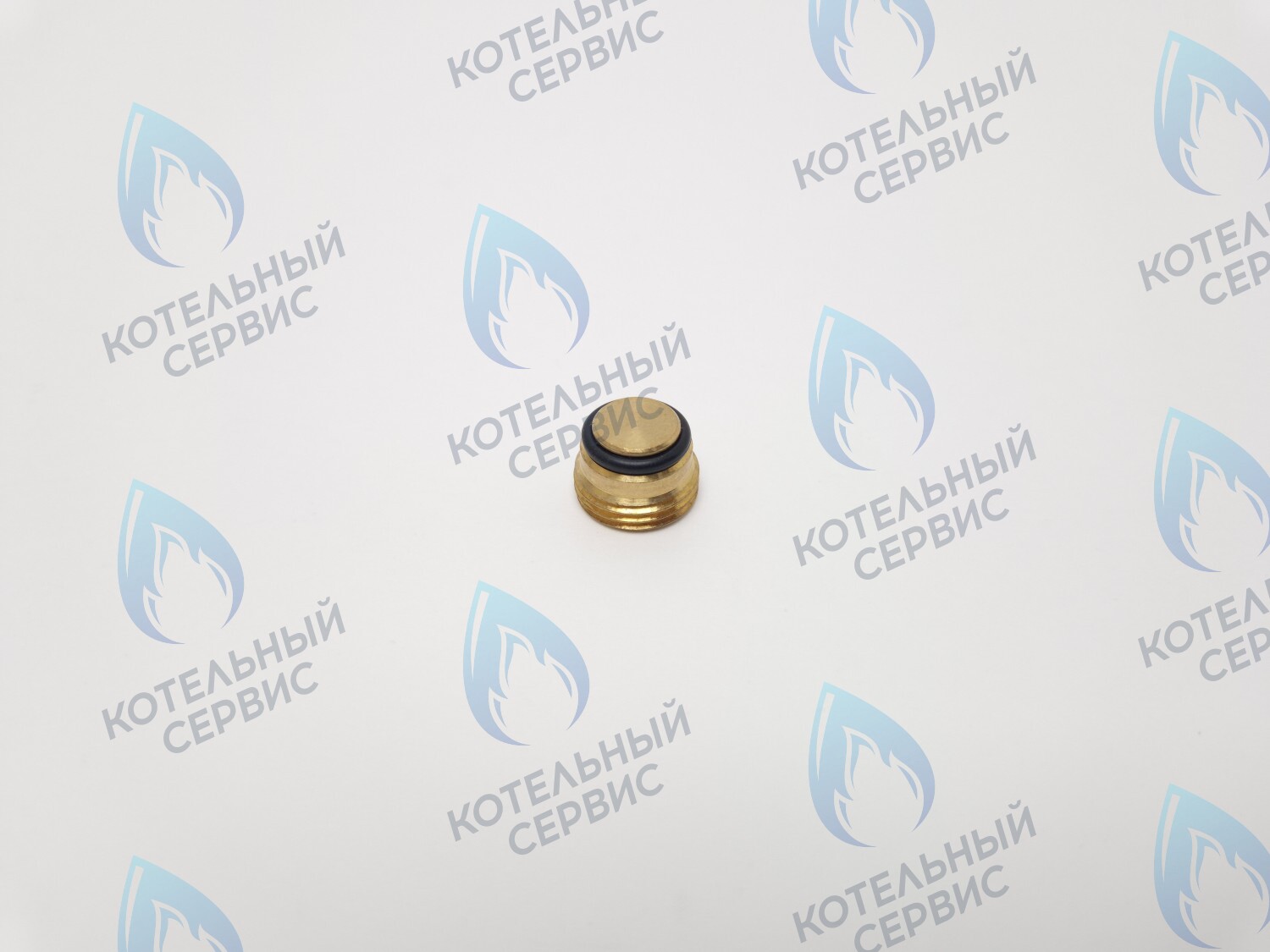 GVP020 Заглушка на клапан Sit 630 (0.972.061) в Екатеринбурге	