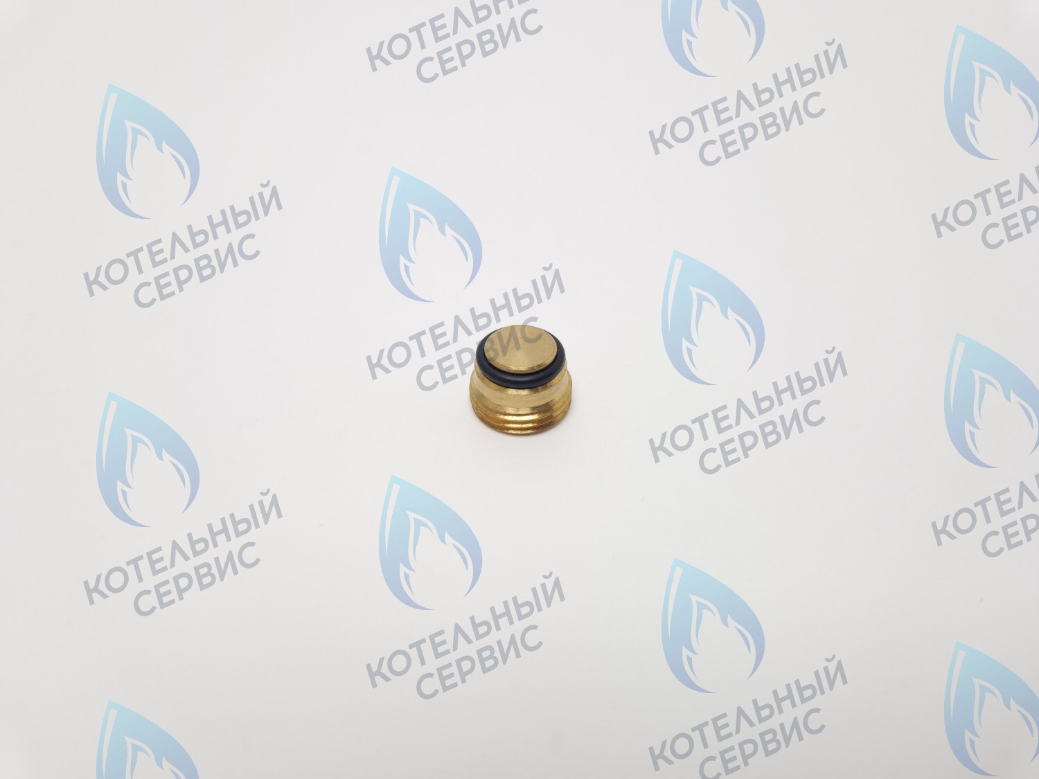 GVP020 Заглушка на клапан Sit 630 (0.972.061) в Екатеринбурге	