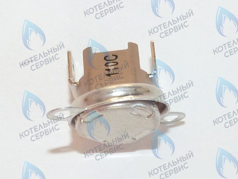 87172061620 Ограничитель нагрева STB 110°C U02X/U04X/U05X/ZSA/ZWA/ZWE BUDERUS в Екатеринбурге	