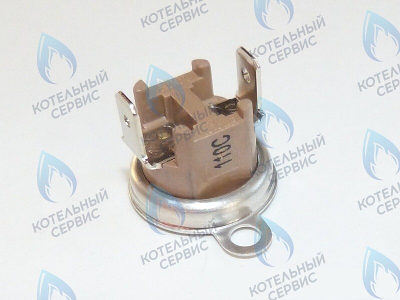 87172061620 Ограничитель нагрева STB 110°C U02X/U04X/U05X/ZSA/ZWA/ZWE BUDERUS в Екатеринбурге	