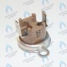87172061620 Ограничитель нагрева STB 110°C U02X/U04X/U05X/ZSA/ZWA/ZWE BUDERUS в Екатеринбурге	