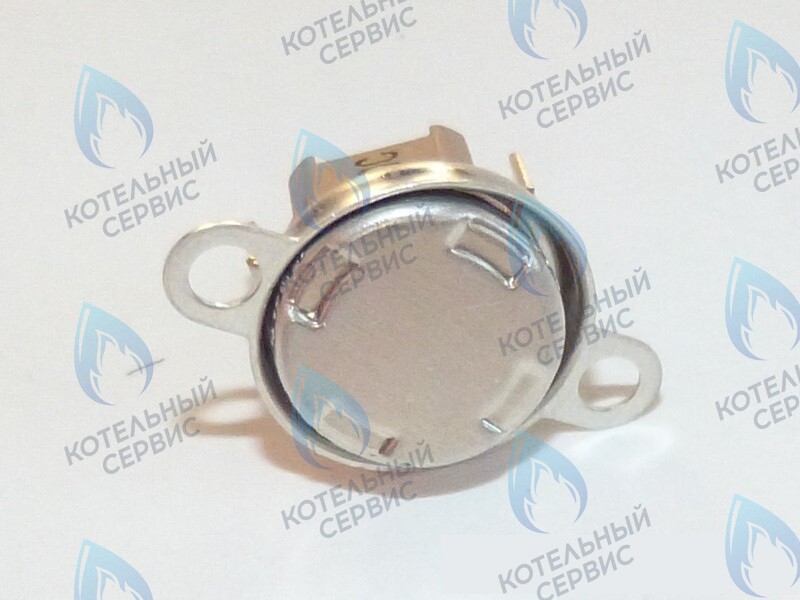 87172061620 Ограничитель нагрева STB 110°C U02X/U04X/U05X/ZSA/ZWA/ZWE BUDERUS в Екатеринбурге	