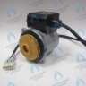 PH-W21CCW50-GW95R-5PIN Двигатель насоса WR15/5-2V (против часовой стрелки) PROTHERM Пантера 25 KTV H-RU (0020197548), Гепард, Пантера V.19 (только для ТУРБО!) (0020097216) (замена WILO INTVACL 15/5-2) в Екатеринбурге	
